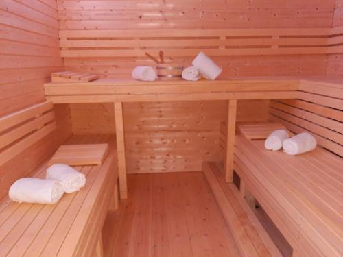 Silberstedt09 Premium Camping Pod的一间带毛巾和水槽的桑拿浴室