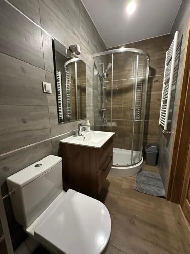 普鲁什库夫Pruszkowskie mieszkanko的浴室配有卫生间、盥洗盆和淋浴。