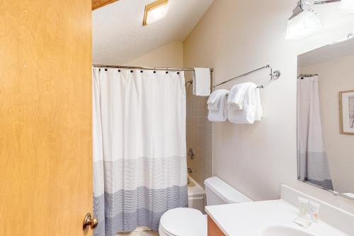 拉德洛Kettle Brook J1的带淋浴帘和卫生间的浴室