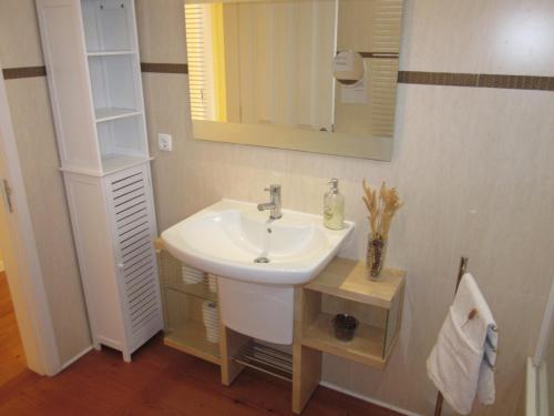 卡尼索Villa Hansen in Garajau - Cristo Rei的一间带水槽和镜子的浴室