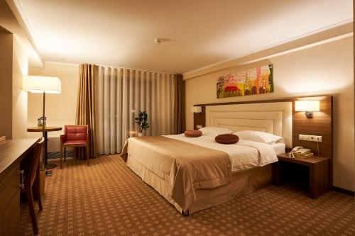 皮亚特拉-尼亚姆茨Petrodava ONE的酒店客房设有一张大床和一张书桌。