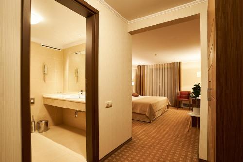 皮亚特拉-尼亚姆茨Petrodava ONE的酒店客房设有带床和水槽的浴室