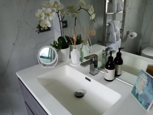 芒格努伊山Sunbrae Beach luxury的白色浴室水槽,上面有镜子和鲜花