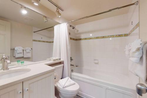 惠斯勒Aspens by WB Vacation Rentals的浴室配有盥洗盆、卫生间和浴缸。