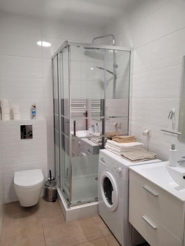 埃尔布隆格APARTAMENT-SADOWA的白色的浴室设有洗衣机和卫生间。