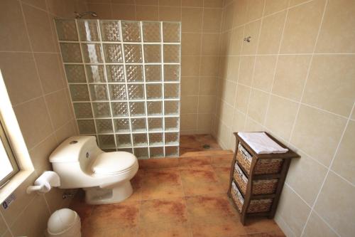 科皮亚波Hotel El Bramador的一间带卫生间和瓷砖淋浴的浴室