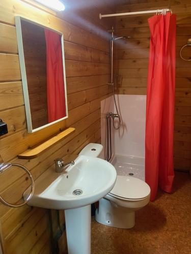 格劳斯Bungalow & Camping Fuente De Regrustan的一间带水槽、卫生间和镜子的浴室
