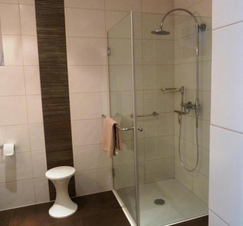 伊尔梅瑙Antoinettes Ferienwohnung的浴室设有玻璃淋浴间和卫生间