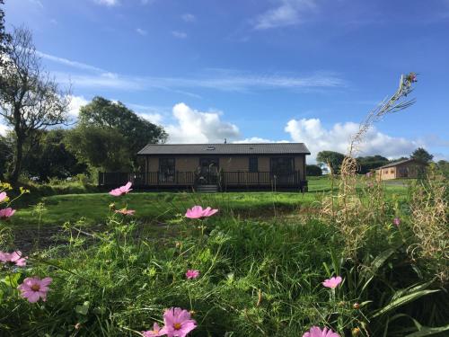 OtterhamSt Tinney Farm Cornish Cottages & Lodges, a tranquil base only 10 minutes from the beach的一片田野中间的一座房子,里面种着粉红色的花