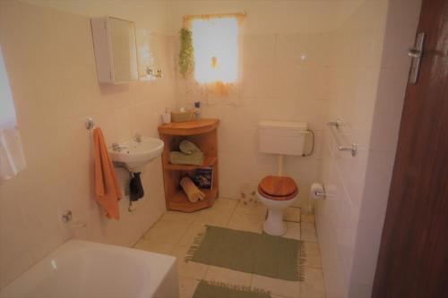 帕雷斯Otters' Haunt Eco Retreat的一间带卫生间和水槽的小浴室