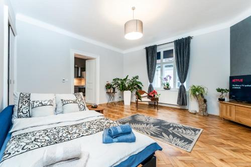 布拉格Alla Prague Apartment的一间卧室配有一张特大号床和一台电视