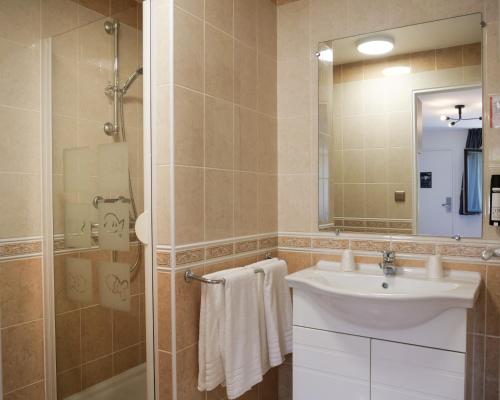 勒·维威恩斯·杜·拉克Motel 991的一间带水槽、淋浴和镜子的浴室