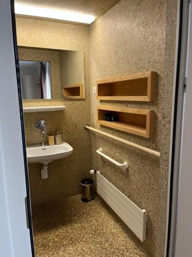 屈德勒凡Auberge de La Sauge的一间带水槽和镜子的浴室