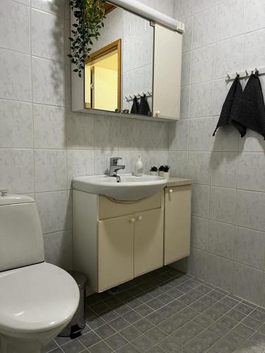 萨里耶尔维Tilava huoneisto的一间带水槽、卫生间和镜子的浴室