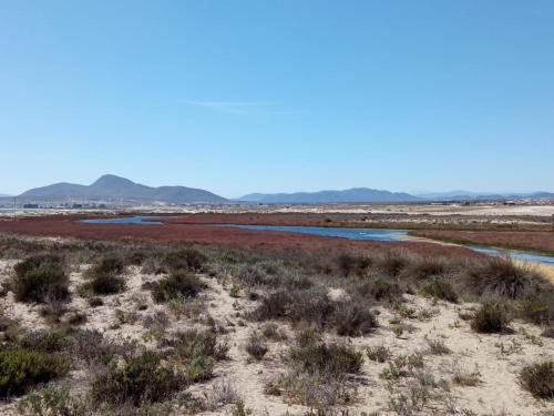 通戈伊Cabañas ecológicas Tongoy的沙漠中的河流,以山脉为背景