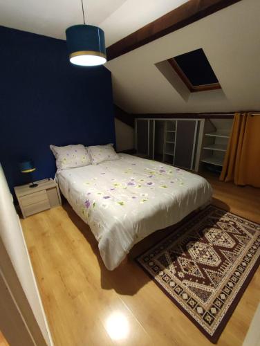 MeythetLocation T2 Proche Annecy的一间卧室配有一张带地毯和蓝色墙壁的床