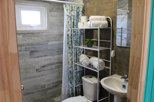 小智利Anygus的一间带卫生间和水槽的浴室
