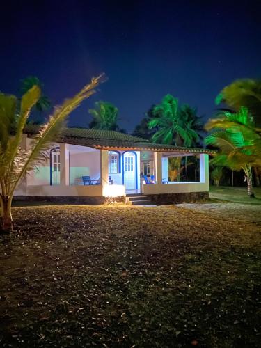伊塔帕里卡岛维拉克鲁兹Alma Tropical Resort的夜晚有蓝色门和棕榈树的房子