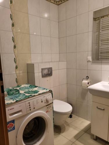 波兰尼卡-兹德鲁伊Sunny Apartment - Bliżej Zdroju的一间带洗衣机和卫生间的浴室