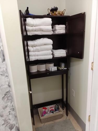 布法罗Cozy Updated 3-BR apartment near Peace Bridge的带毛巾的浴室内的毛巾架