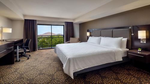 凤凰城菲尼克斯场北部假日套房酒店的配有一张床、一张书桌和一扇窗户的酒店客房