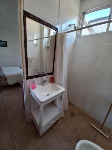 波特雷罗德洛斯弗内斯Hostería Los Naranjos的浴室配有盥洗盆和带镜子的淋浴