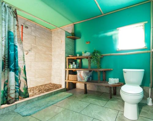 帕霍阿Open Gate Hostel Hawaii的一间带卫生间和淋浴的浴室