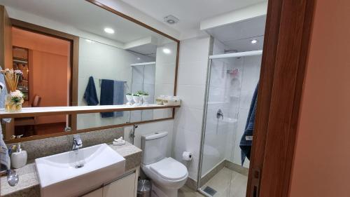 佩德拉阿祖尔Loft 335 Vista Azul的浴室配有卫生间、盥洗盆和淋浴。