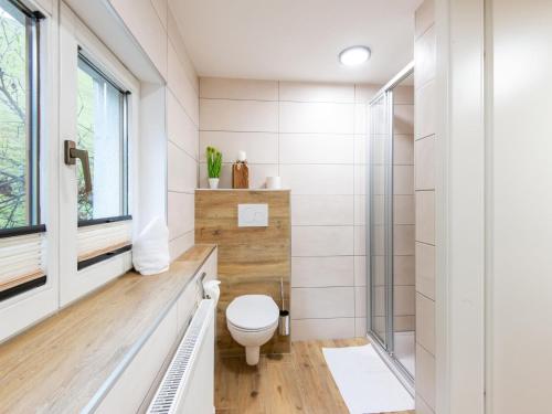 菲根贝格Charming holiday home in F genberg with lots of comfort的一间带卫生间和淋浴的浴室
