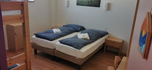 菲施胥波顿高山旅馆的一间卧室配有两张单人床和蓝色枕头。