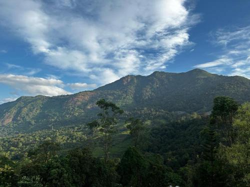 卡拉瓦提亚尔Wild Elephant Resort的享有树木和云层的山脉美景