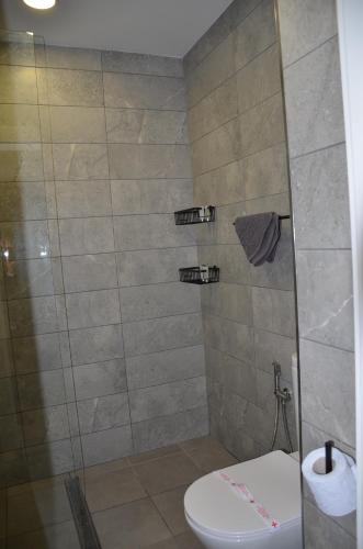 索非亚André的浴室配有淋浴和卫生间。