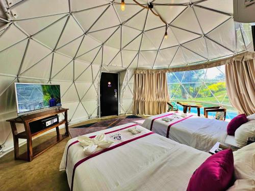 LemeryShanti Wellness Sanctuary的一间设有两张床的客房,并在帐篷内配有电视