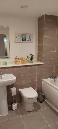 利物浦Chavasse Apartments L15DX的一间带卫生间和水槽的浴室