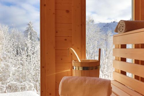 圣安德里斯伯格Werkmeisters Hütte的客房设有浴缸和带雪覆盖树木的窗户。