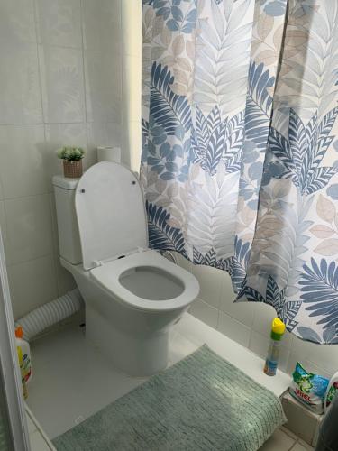 路易港Royal view Apartment的一间带卫生间和淋浴帘的浴室