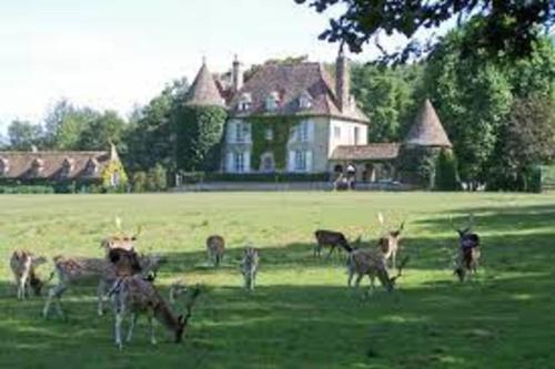 LindryAu Calme Absolu chez Nicolas的一群动物在房子前面的田野里放牧