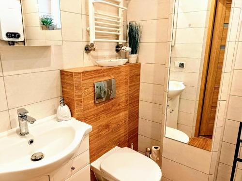 斯维诺乌伊希切Holiday flat, Swinoujscie的一间带水槽和卫生间的小浴室