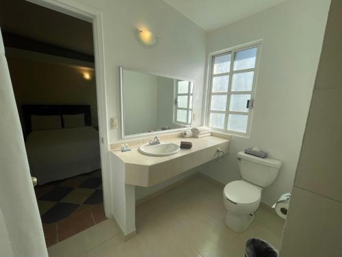 图拉德阿连德Hotel Real Home的一间带水槽、卫生间和镜子的浴室
