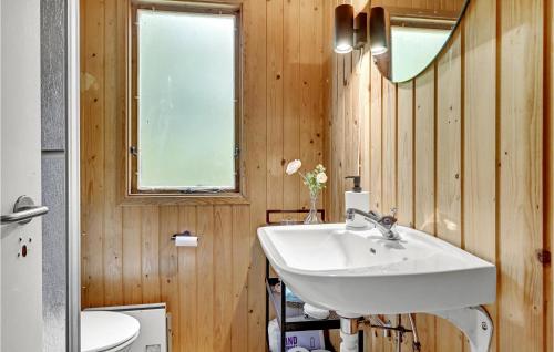 KolindPet Friendly Home In Kolind With Kitchen的一间带水槽、卫生间和镜子的浴室