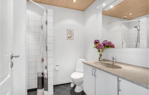 北内伯尔Lovely Home In Nrre Nebel With Wifi的白色的浴室设有卫生间和水槽。
