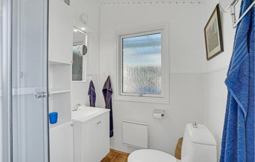 OrøBeautiful Home In Or With Wifi的一间带卫生间、水槽和窗户的浴室