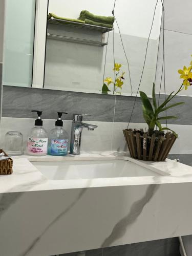 美奈Blue Moon Hotel Mui Ne的浴室水槽,内有两瓶肥皂和植物