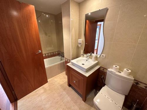埃尔塔特Apartament Narcis 2.5 - 5p - Ransol - Zona Grandvalira的一间带卫生间、水槽和镜子的浴室