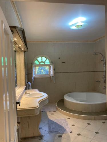 金马利奥特阿尔法多斯豪华度假屋的带浴缸和盥洗盆的浴室