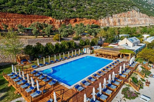 卡斯卡斯游艇俱乐部多利亚酒店的享有带躺椅的游泳池的顶部景致