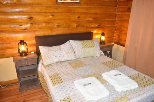 坦迪尔Cabañas Cuncumen的一间卧室,配有带2个床头柜的床