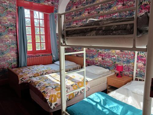 Massaychateau du ponthereau的花卉壁纸客房内的两张双层床