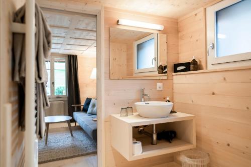 伦克Cortesi's Lenk Lodge, Boutiques Appartements的一个小房子里带水槽的浴室