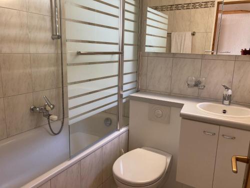 瓦尔贝拉Haus Tgamotsch***- Ferienwohnung in Valbella的浴室配有卫生间、淋浴和盥洗盆。